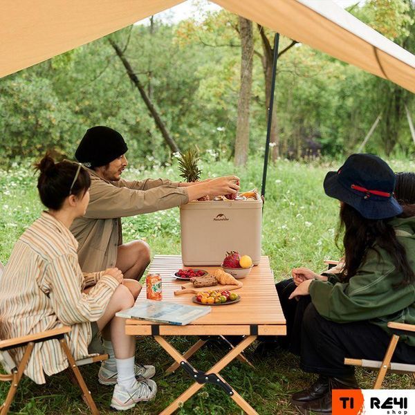 Туристичний холодильник Naturehike CNK2300BS011, 24 л, бежевий 6976023925665 фото