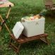 Туристичний холодильник Naturehike CNK2300BS011, 24 л, бежевий 6976023925665 фото 3